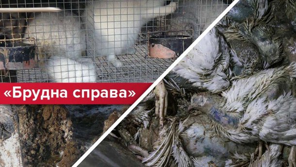 Небезпечно для життя: як в Україні процвітає шкідливий бізнес