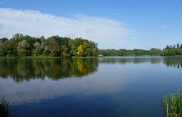Скандальна історія з виділенням земель АТОвцям: у справі зявився несподіваний поворот