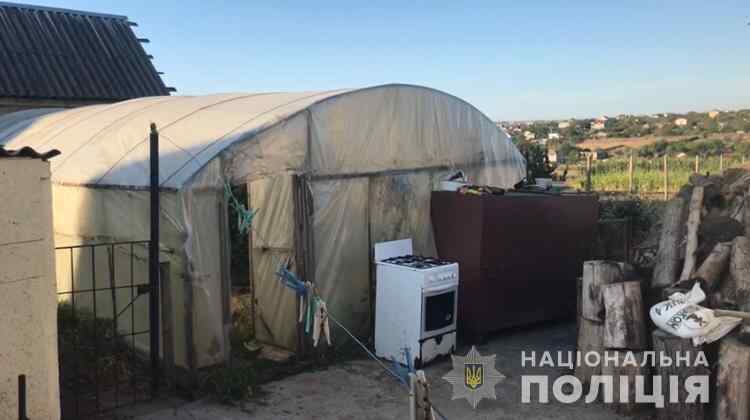 У жителя Одесской области нашли теплицу с коноплей: он утверждал, что растил ее для себя. Видео