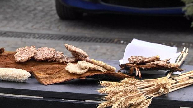 Вони могли бути провідними людьми: як в містах України вшанували памяттю жертв Голодомору