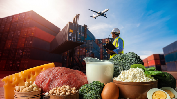 Які продукти Україна найбільше експортує: інфографіка
