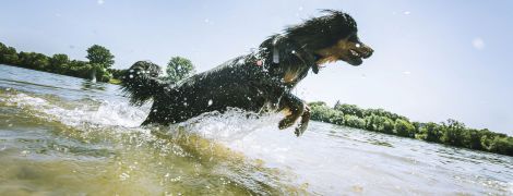 Какие страны производят и продают больше всего оружия в мире. Инфографика