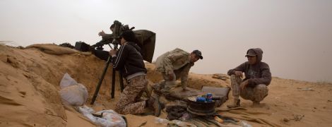 Понад 100 уколів та 71 шов: на Донеччині домашній собака ледь не загриз чоловіка