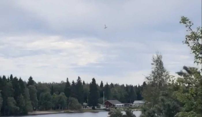 Самолет с парашютистами упал на севере Швеции (ФОТО)