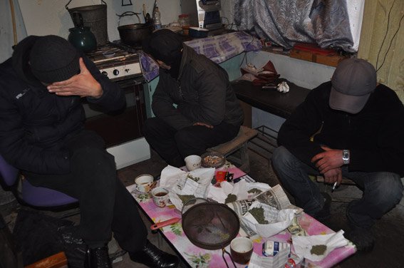 В Николаевской обл. изъяли конопли почти на 300 тыс. грн