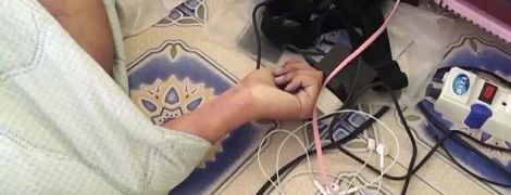 Во Франции украли пантеру, которая недавно гуляла по крышам города