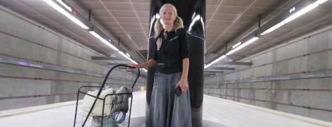 Во Франции украли пантеру, которая недавно гуляла по крышам города