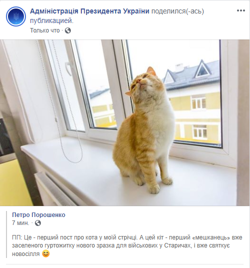 Первый в моей ленте: Порошенко запостил в Facebook фото кота