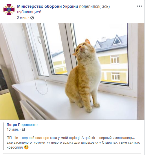 Первый в моей ленте: Порошенко запостил в Facebook фото кота